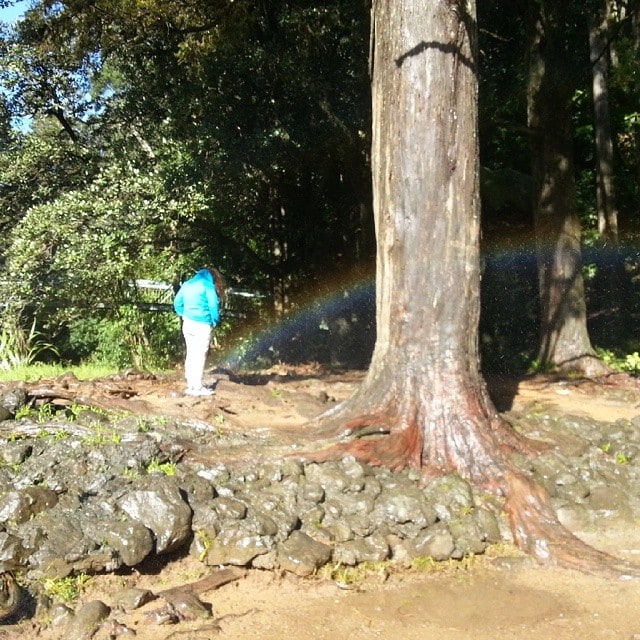 End of the #Rainbow. We found it in #Whangarei #NewZealand. #Nature with #NoFilter.