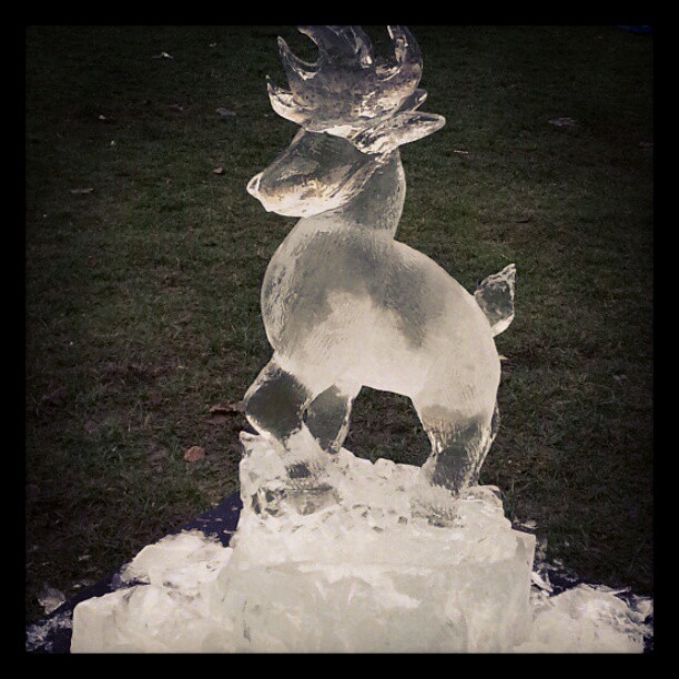 #Ice #IceSculpture #IceCarving #Manchester #Reindeer #Christmas #XMas