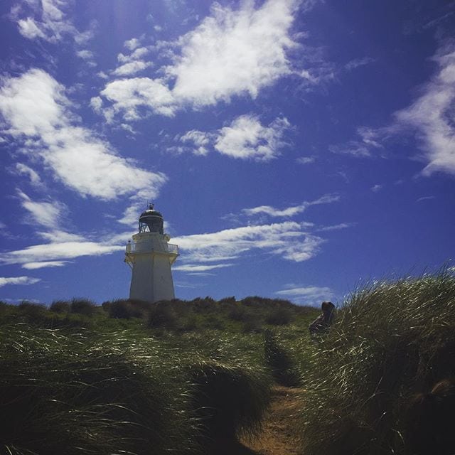 #Lighthouse at #WaipapaPoint #Catlins #NewZealand