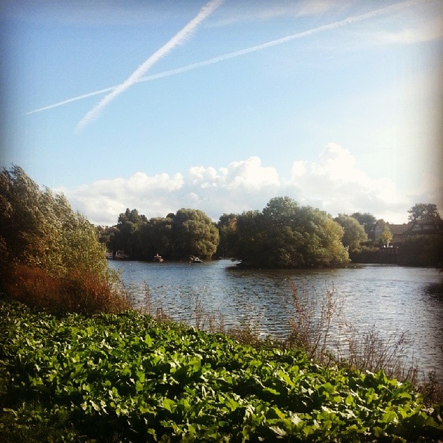 Lunchtime walk by the #Thames #River in #Richmond