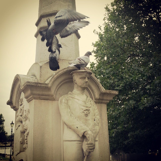 #Pigeon #Statue: #Birds in #Flight